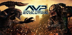 avp