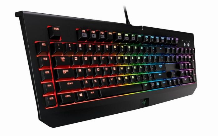 Razer blackwidow chroma